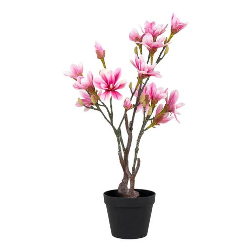 Magnolia à Fleurs Décoratif Artificiel Hauteur 74cm - Magiolia
