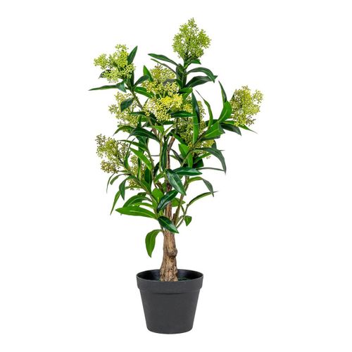 Skimmia Japonica Décoratif Artificiel Hauteur 75cm - Simmia
