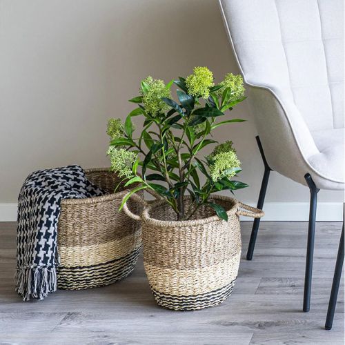 Skimmia Japonica Décoratif Artificiel Hauteur 75cm - Simmia