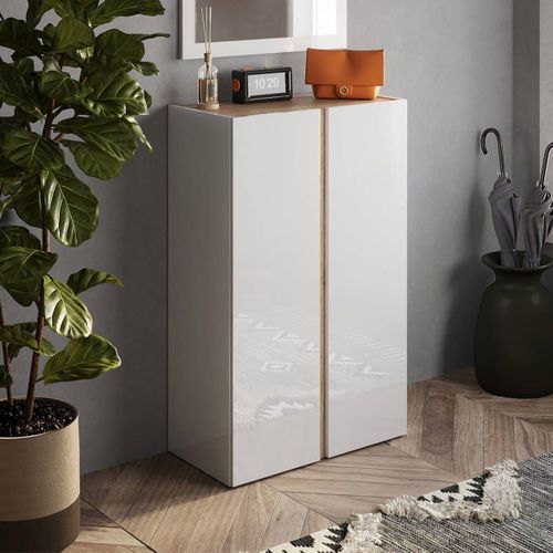 Meuble à Chaussures 2 Portes Blanc Et Aspect Bois Finition Cadiz - Kader