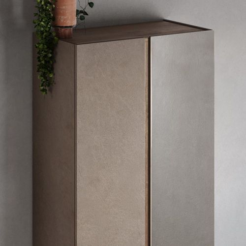 Armoire à Chaussures 2 Portes 1 Miroir Brun Et Aspect Bois Finition Mercure - Kader