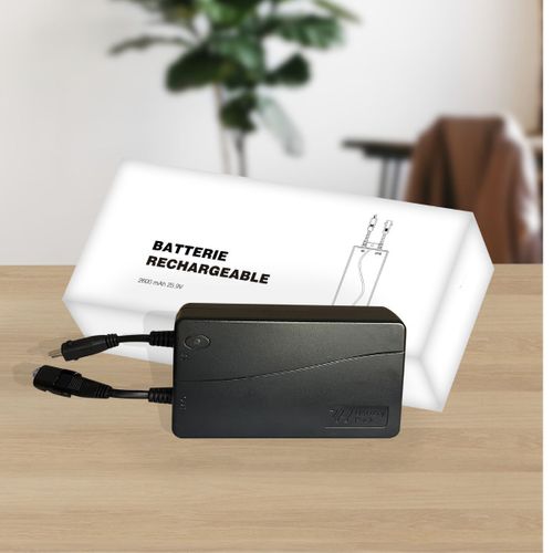 Batterie Li-ion 2000mah Référence N°26647 - Walt