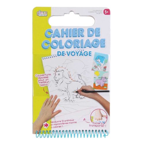 Lot De 2 Cahiers De Coloriage Avec Poignée De Transport -