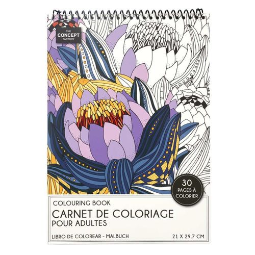 Livre De Coloriage De Voyage 30 Pages Adulte -
