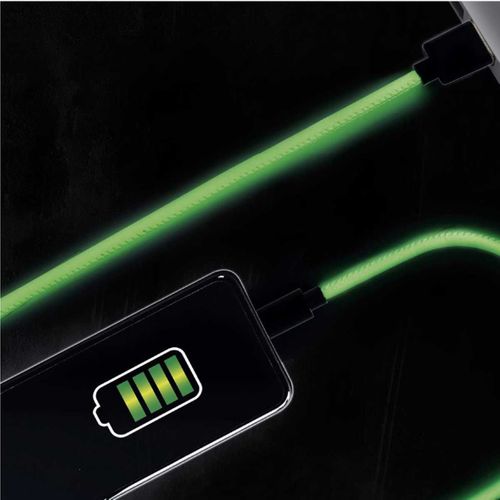 Câble Charge Rapide 2a Type C Phosphorescent 2 Mètres -