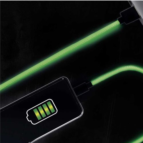 Câble Charge Rapide 2a Type Compatible iPhone / iPad / Ipod Phosphorescent 2 Mètres -