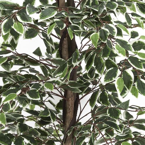 Cornouiller Artificiel En Polyéthylène Hauteur 160cm -