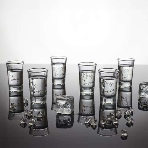 Set De 6 Verres à Shot En Verre Avec Message "conjugaison Du Verbe Boire" (45 Ml) -