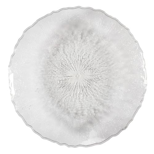 Set De 2 Plats Ronds En Plastique Transparent Texturé Martelé (ø42,5 cm) -