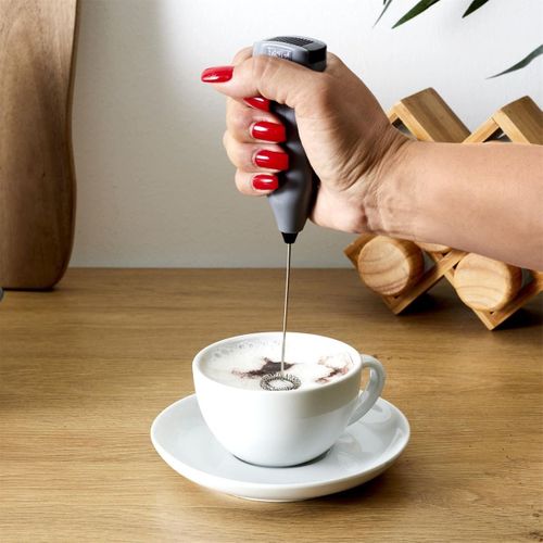 Mousseur à Lait En Inox Avec Manche En Plastique Gris -