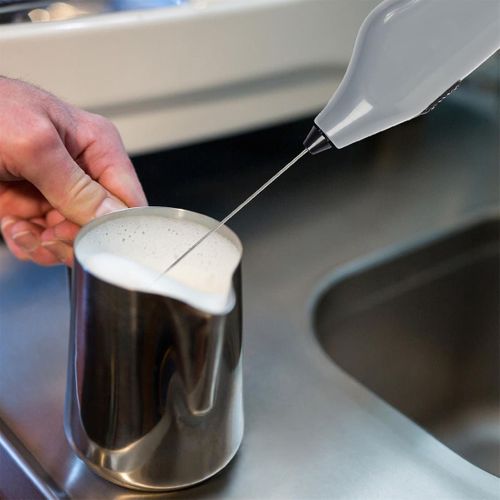 Mousseur à Lait En Inox Avec Manche En Plastique Gris -