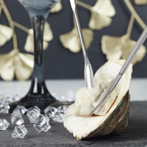 Set De 8 Curettes à Crustacés En Acier Inoxydable Argenté -