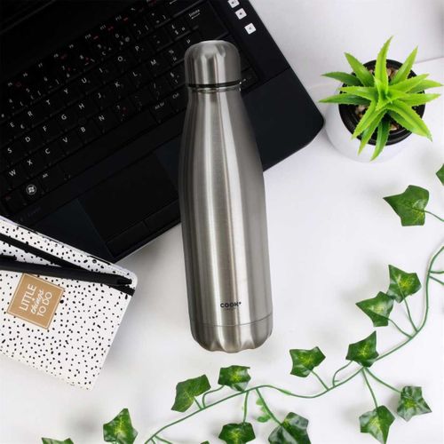 Bouteille De Transport Isotherme 50cl En Inox Gris -