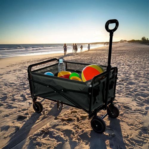 Chariot Pliable Transportable Charge Max 65kg -