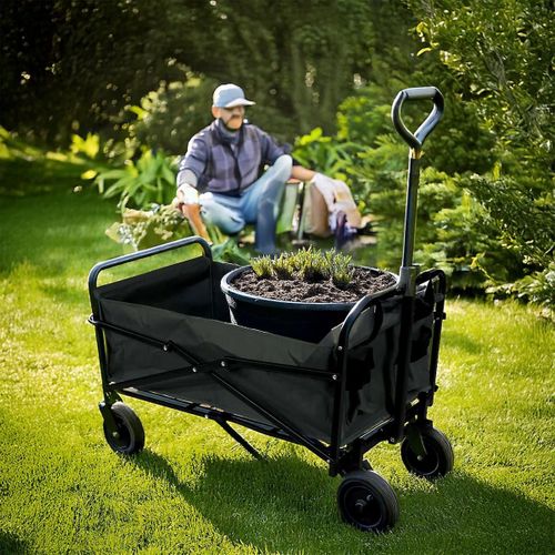 Chariot Pliable Transportable Charge Max 65kg -