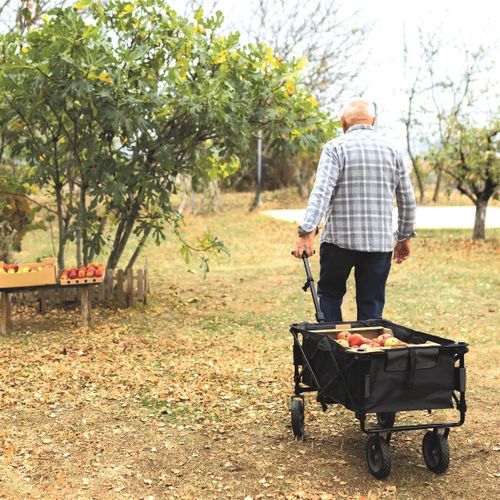 Chariot Pliable Transportable Charge Max 65kg -