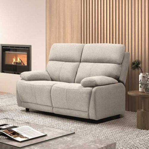 Canapé Fixe 2 Places Tissu Polyester Gris Clair - Miguel