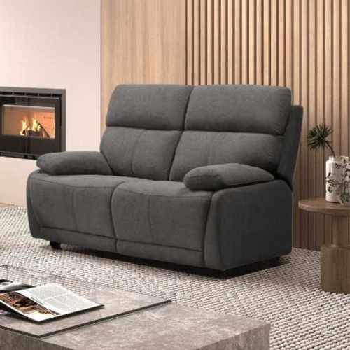 Canapé Fixe 2 Places Tissu Polyester Gris Foncé - Miguel