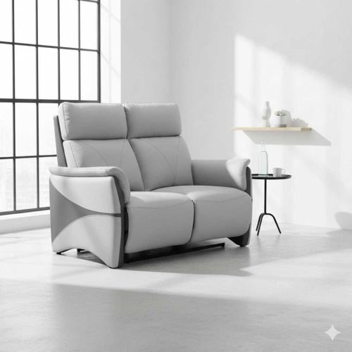 Canapé 2 Places Fixe Tissu Micro Peau Bicolore Gris - Symphony