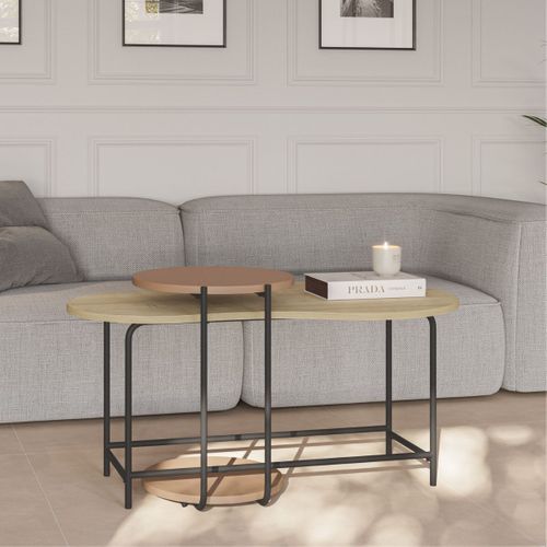 Tables Basses Gigogne 1 Table Ovale Plateau Imitation Bois Et 1 Table Ronde Plateau Terracotta Pièt