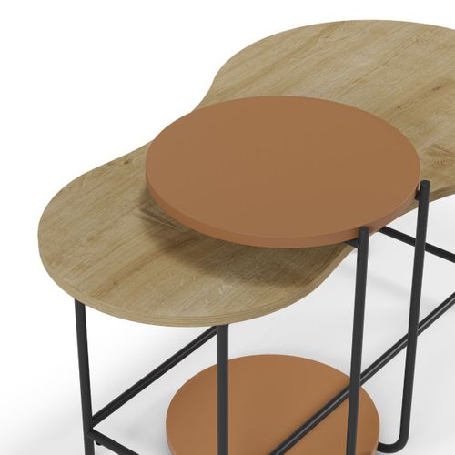 Tables Basses Gigogne 1 Table Ovale Plateau Imitation Bois Et 1 Table Ronde Plateau Terracotta Pièt