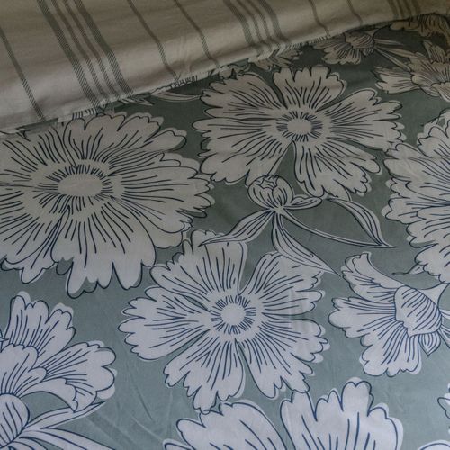 Housse De Couette 260x240cm Coton Imprimé Recto Floral Verso Rayé Vert Sauge Et Blanc - Tamia