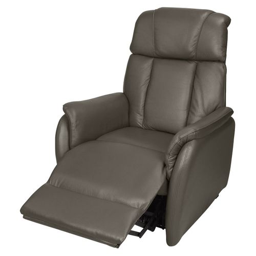 Fauteuil Relax Et Releveur Electrique Cuir Taupe - Tamise