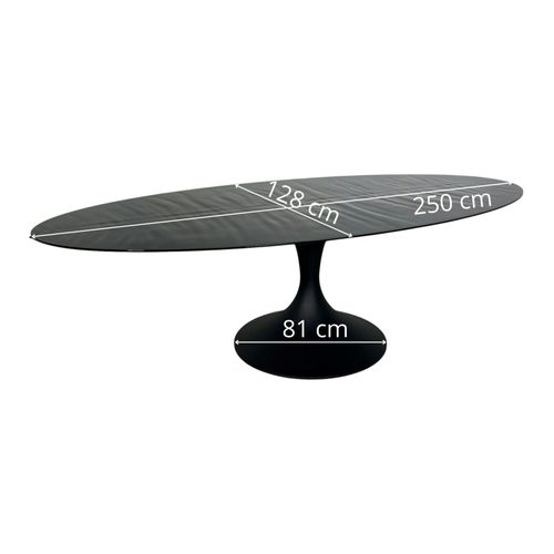 Table En Verre Noir - Effet Ride D'eau 250 Cm Ligurie