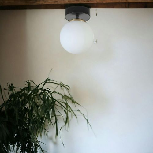 Plafonnier Globe Verre Dépoli, Finition Noire Sierre