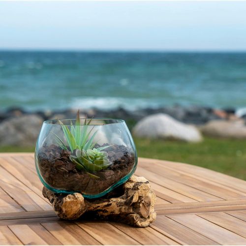 Vase Verre Soufflé Et Racine Teck, Artisanal H 15 Cm Arizona