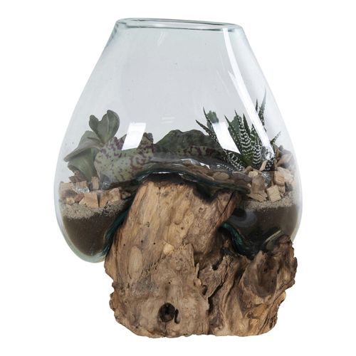 Vase Verre Soufflé Et Racine Teck, Artisanal H 20 Cm Arizona
