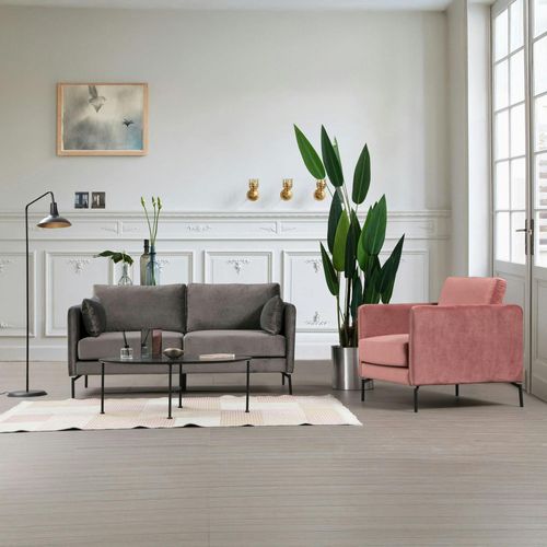 Canapé En Velours 2 Places Gris, Accoudoirs Fins Ranchi