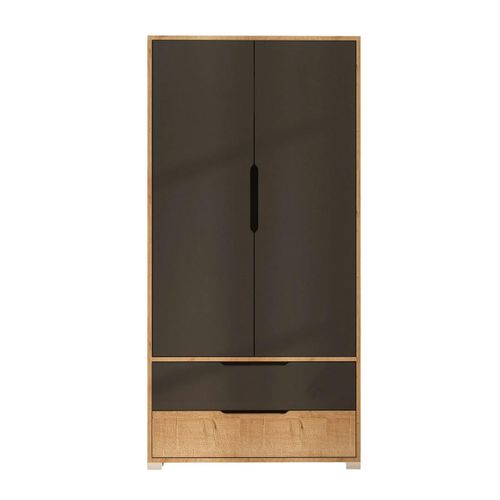 Armoire Penderie 2 Portes Anthracite Et Effet Bois Byron