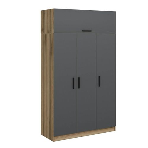 Armoire Penderie 4 Portes Gris et Effet Bois, 1 Tringle Byron
