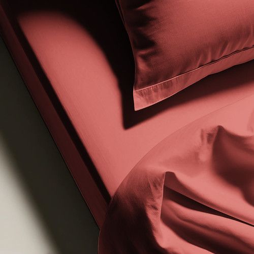 Drap Plat Coton Terracotta - 270 X 300 cm