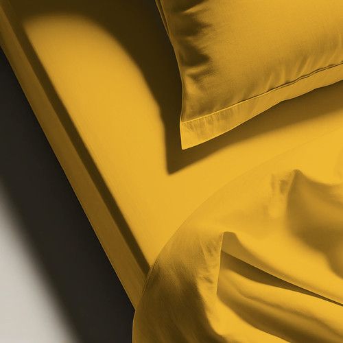 Drap Plat Coton Curry - 270 X 300