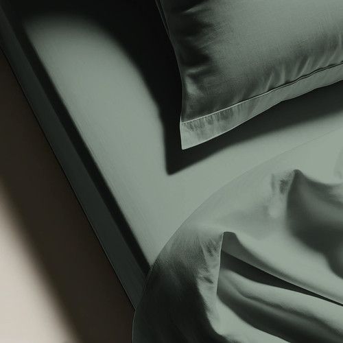 Drap Plat Coton Lichen -270 X 300 cm