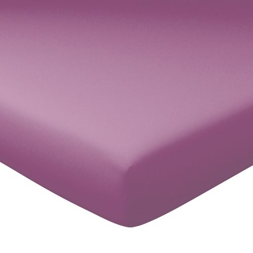 Drap-housse Grand Bonnet 120x190x40 Violet Aubergine En Coton