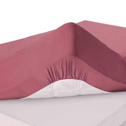 Drap-housse Grand Bonnet 160x200x32 Rose Framboise En Coton