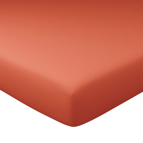 Drap-housse Grand Bonnet 90x200x32 Orange Terracotta En Coton