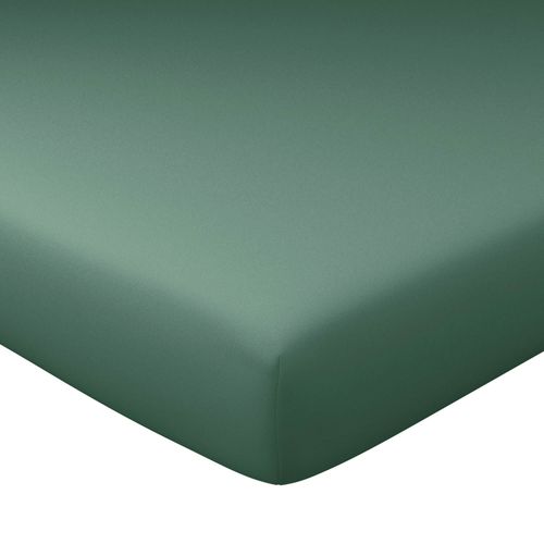 Drap-housse Grand Bonnet 180x200x40 Vert Eucalyptus En Coton