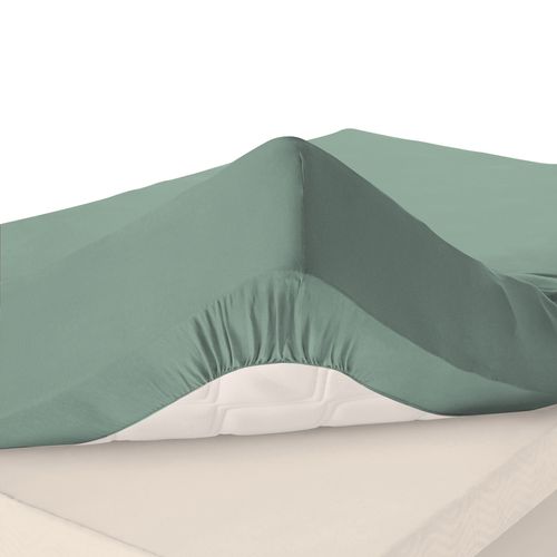 Drap-housse Grand Bonnet 180x200x40 Vert Amande En Coton