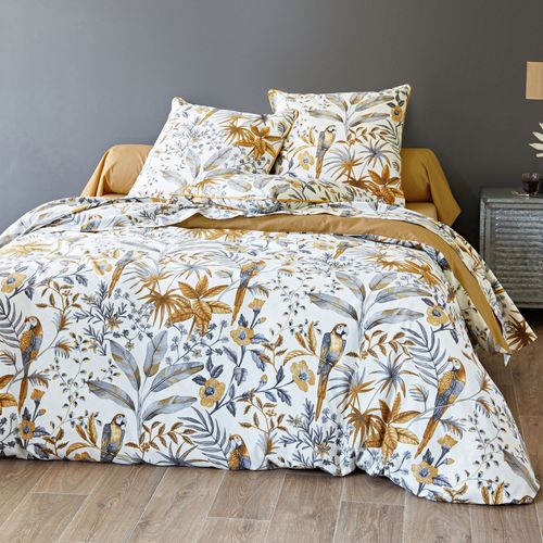 Drap-housse 90x190x28 Marron En Coton