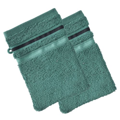 Lot De 2 Gant De Toilette 15x21 Vert Eucalyptus En Acrylique