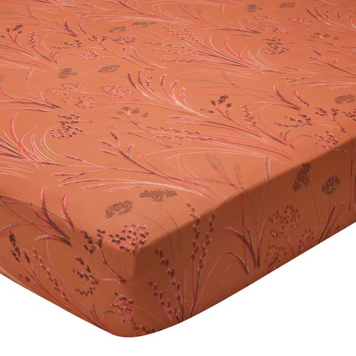 Drap-housse 160x200x28 Orange Terracotta En Coton