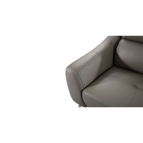 Fauteuil Cuir Design Sianna Marron