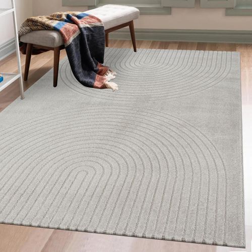 Tapis Salon Demilu 80x150 Cm Gris - Tapis Entrée Doux Et Soyeux