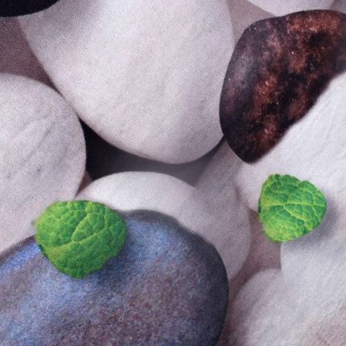 Tapis De Salon 200x290 Lyn11 Galet Blanc, Facile D'entretien