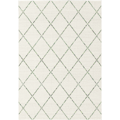 Tapis Extérieur 200x290 Tissé Kilim Crème Et Vert Casada 18