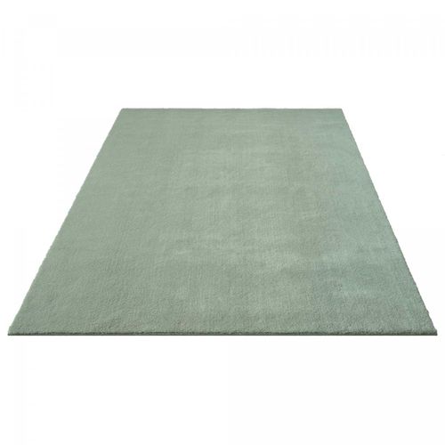 Tapis Salon 160x220 Lyn10 Lavable Vert Clair Uni, Tapis Shaggy à Longs Poils